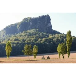 ORTLIEB Back-Roller Urban - QL2.1 Bike Pannier - 20L - Ash Rose 23 ORTLIEB Back-Roller Urban - QL2.1 Bike Pannier - 20L - Ash Rose -Ortlieb ortlieb back roller urban ql31 ash rose f5514 9 1125920